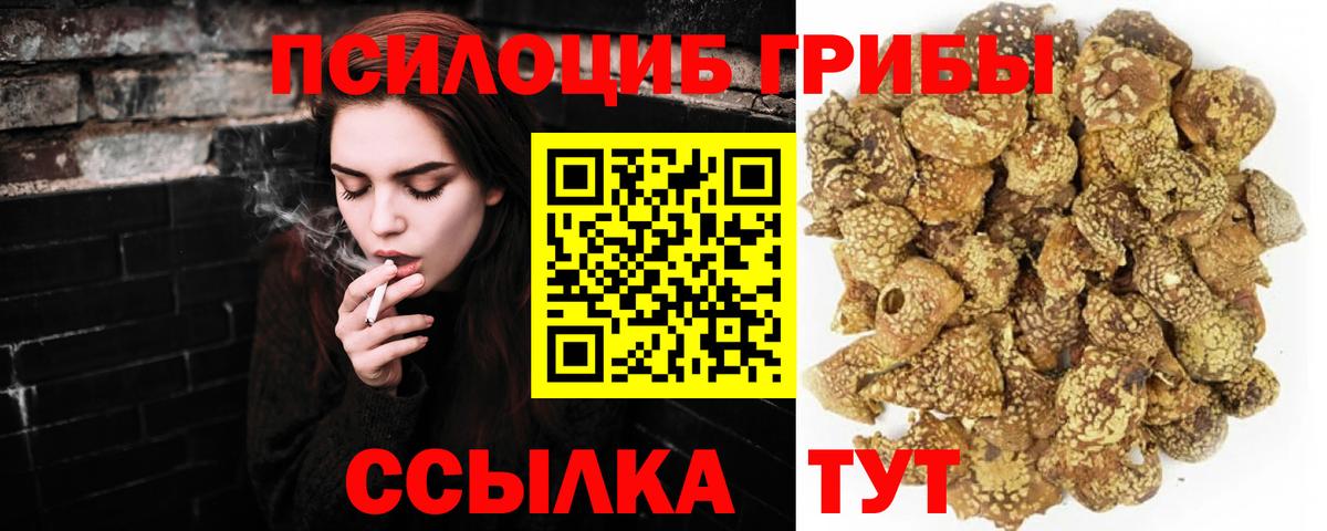 купить закладку  Псилоцибиновые грибы прущие грибы  Вход с VPN  Жуковский  Галлюциногенные грибы Psilocybe 