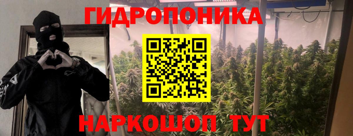 Жуковский  Бошки марихуана марихуана  Вход с VPN  Бошки марихуана THC 21%  Каннабис VHQ 